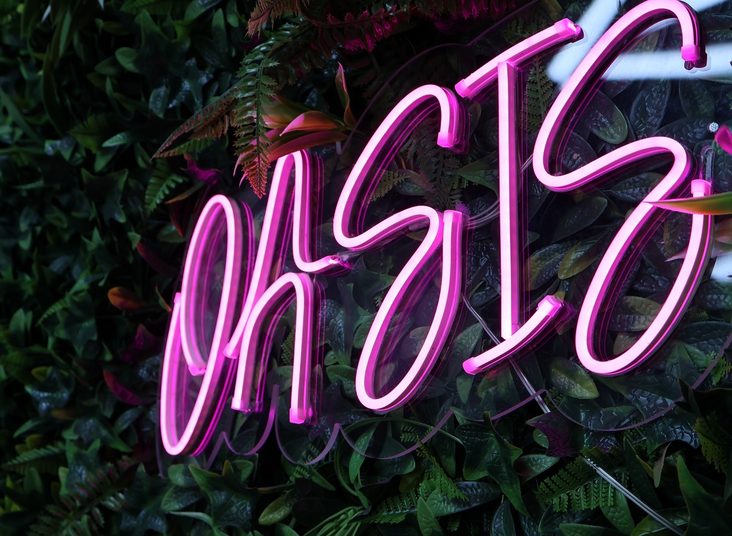 Close-up van het roze neon OASIS tussen de bladeren